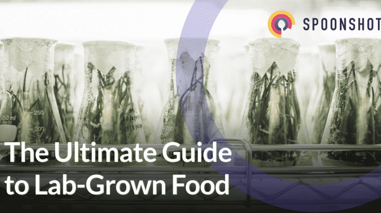 the ultimate guide to lab grown food