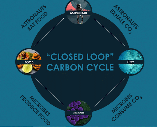closed loop carbon cycle