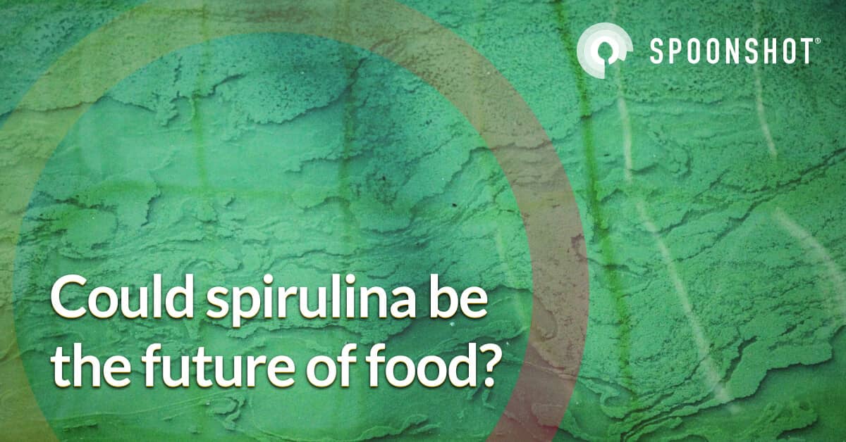 Can Spirulina The Future of Food? Spoonshot Blog